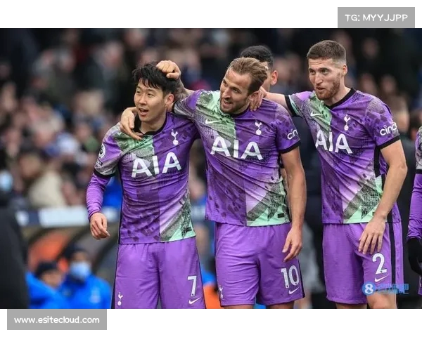 热刺主场奏凯,球迷们为球队欢呼 热刺主场奏凯,球迷们为球队欢呼