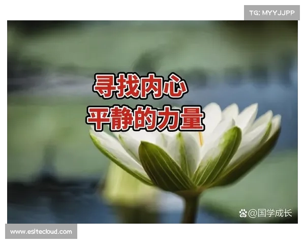 面对质疑与嘘声:如何从逆境中汲取力量,走向自己的梦想 面对质疑与嘘声:如何从逆境中汲取力量,走向自己的梦想