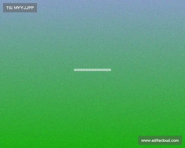 日本球星谷口彰悟转会圣图尔登，挑战欧洲赛场新征程