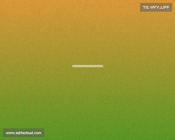 瓦伦西亚捧起西甲冠军，未来之星引领新篇章！